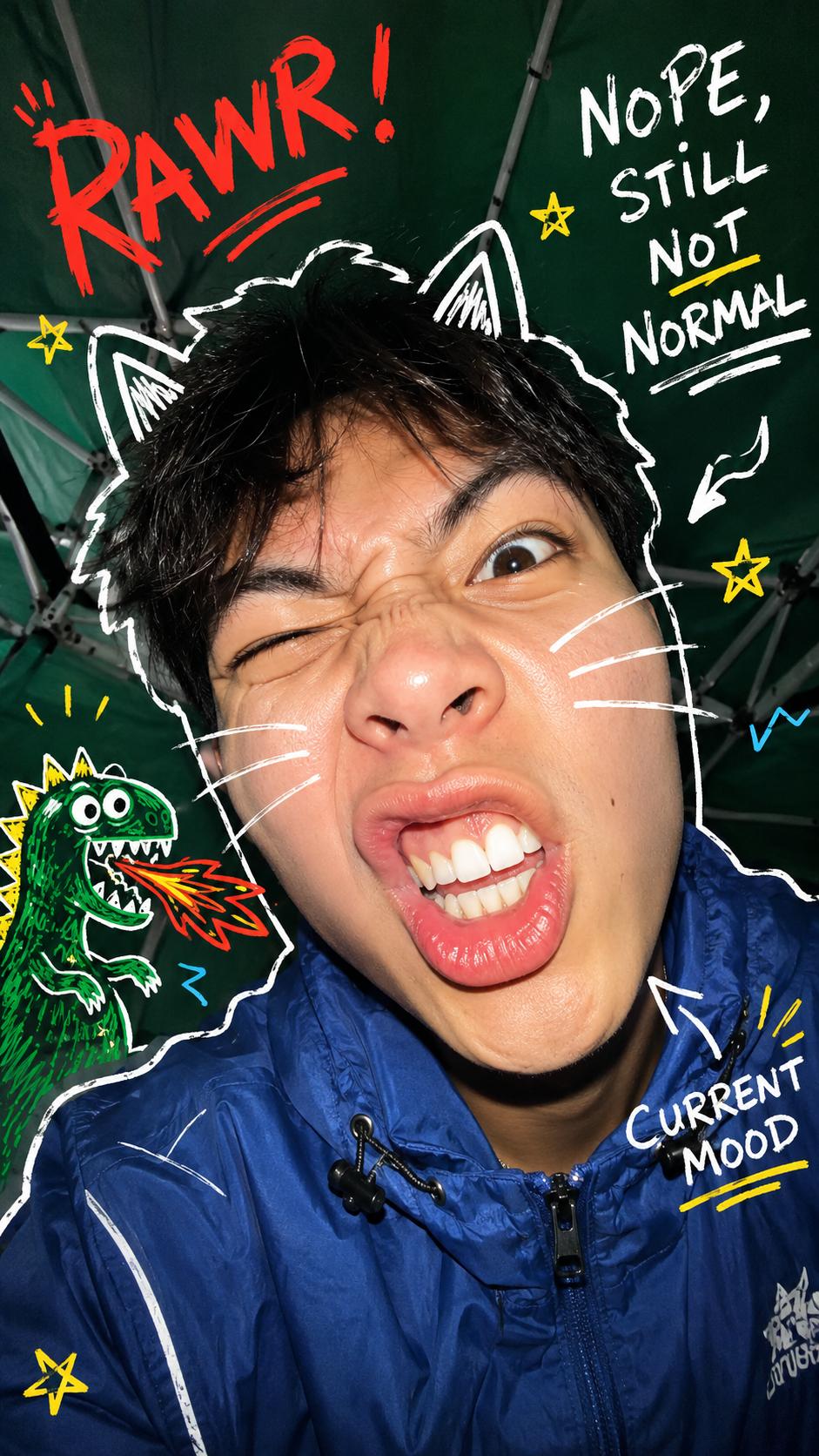 Chaotic Doodled Gen Z Selfie Poster